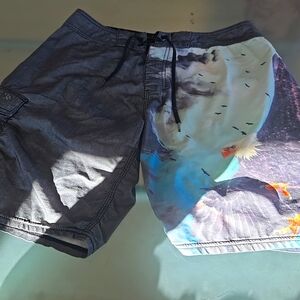 Billabong Men's Shorts